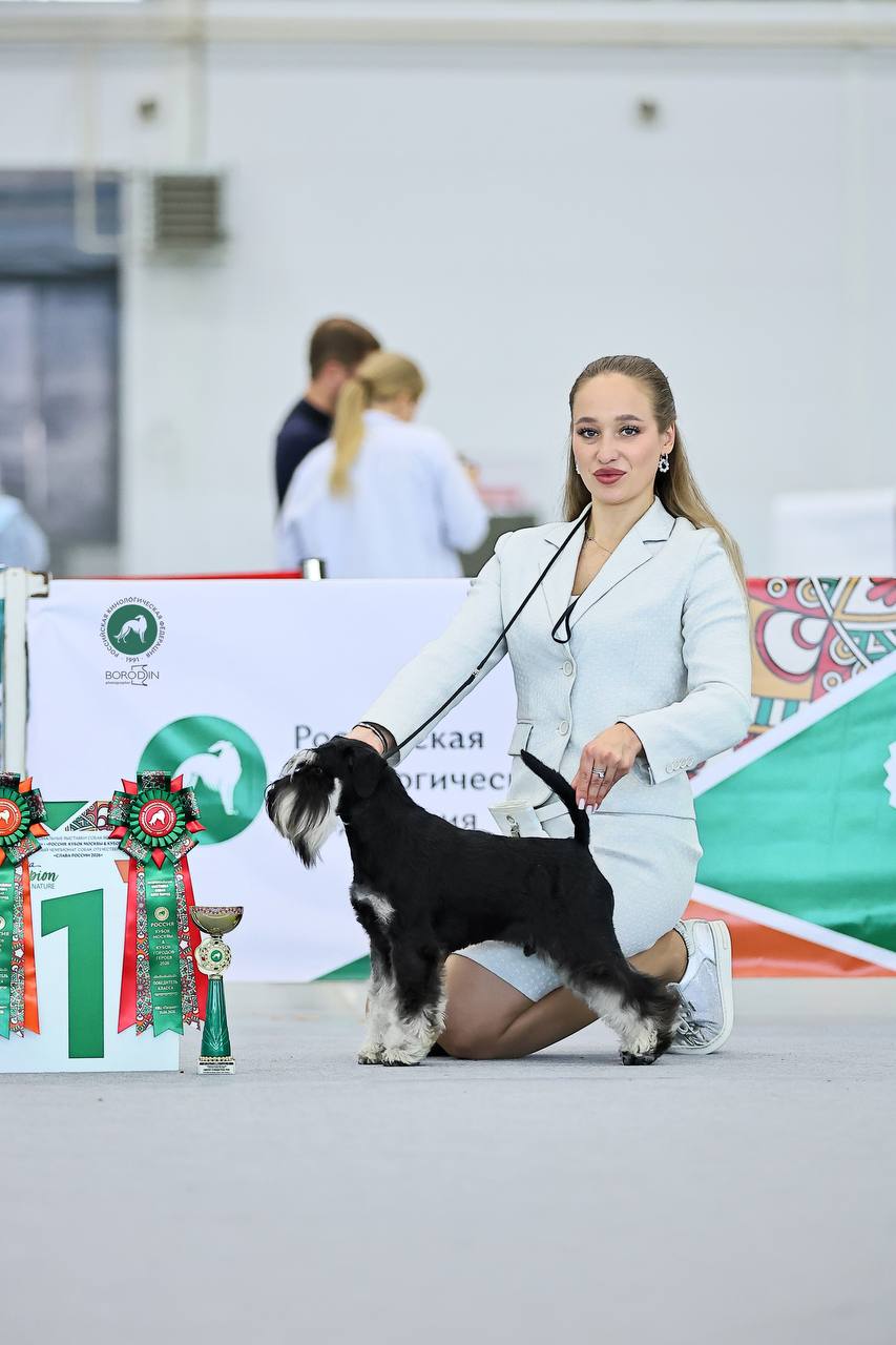 https://upforme.ru/uploads/0013/26/e2/64/645985.jpg