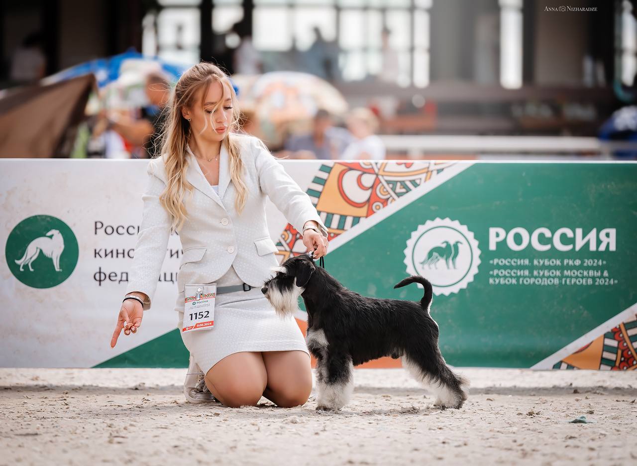 https://upforme.ru/uploads/0013/26/e2/64/648257.jpg