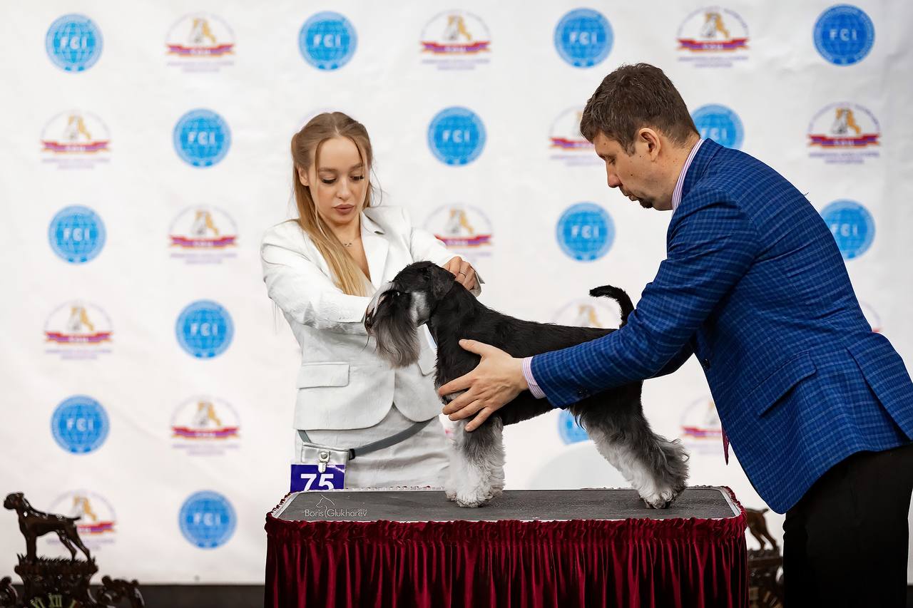 https://upforme.ru/uploads/0013/26/e2/64/649872.jpg