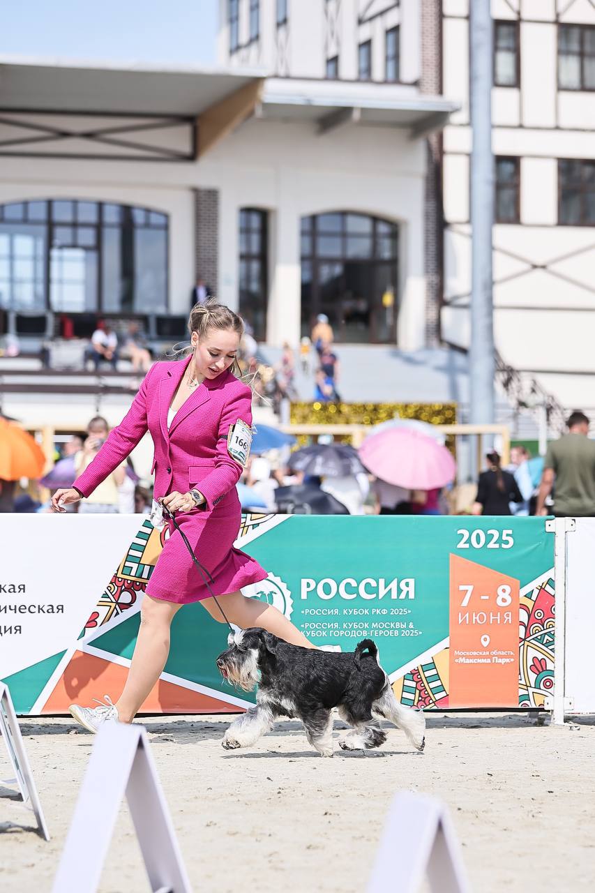https://upforme.ru/uploads/0013/26/e2/64/657420.jpg
