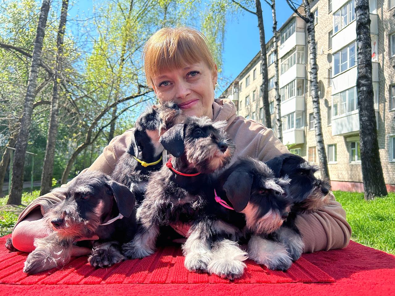 https://upforme.ru/uploads/0013/26/e2/64/664189.jpg