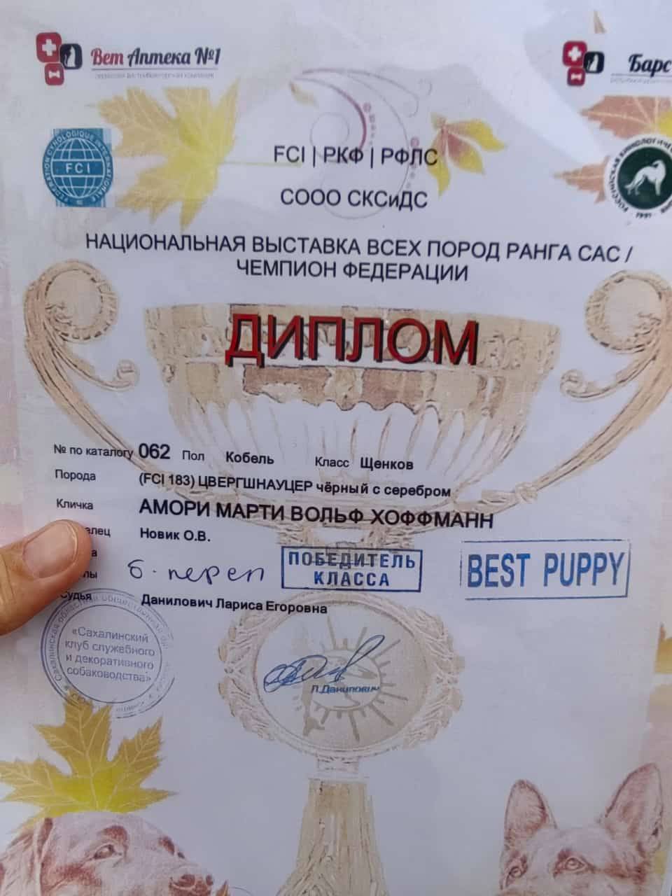 https://upforme.ru/uploads/0013/26/e2/64/670708.jpg