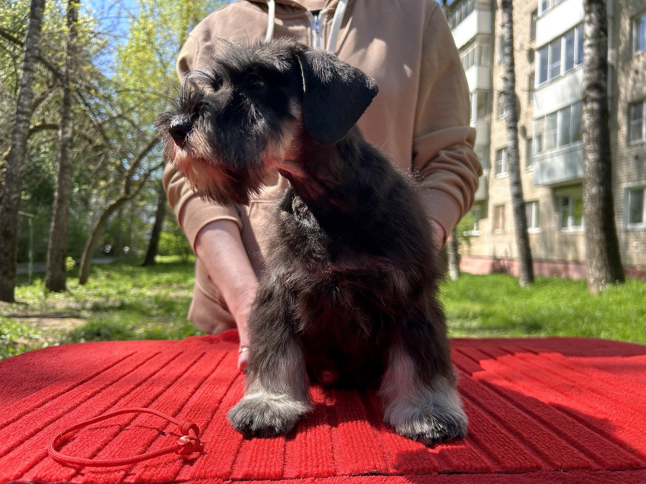 https://upforme.ru/uploads/0013/26/e2/64/677405.jpg