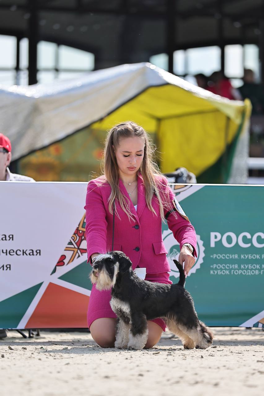 https://upforme.ru/uploads/0013/26/e2/64/683912.jpg