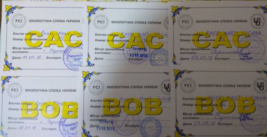 https://upforme.ru/uploads/0013/26/e2/64/694767.jpg