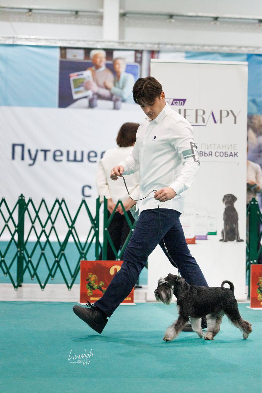 https://upforme.ru/uploads/0013/26/e2/64/696267.jpg