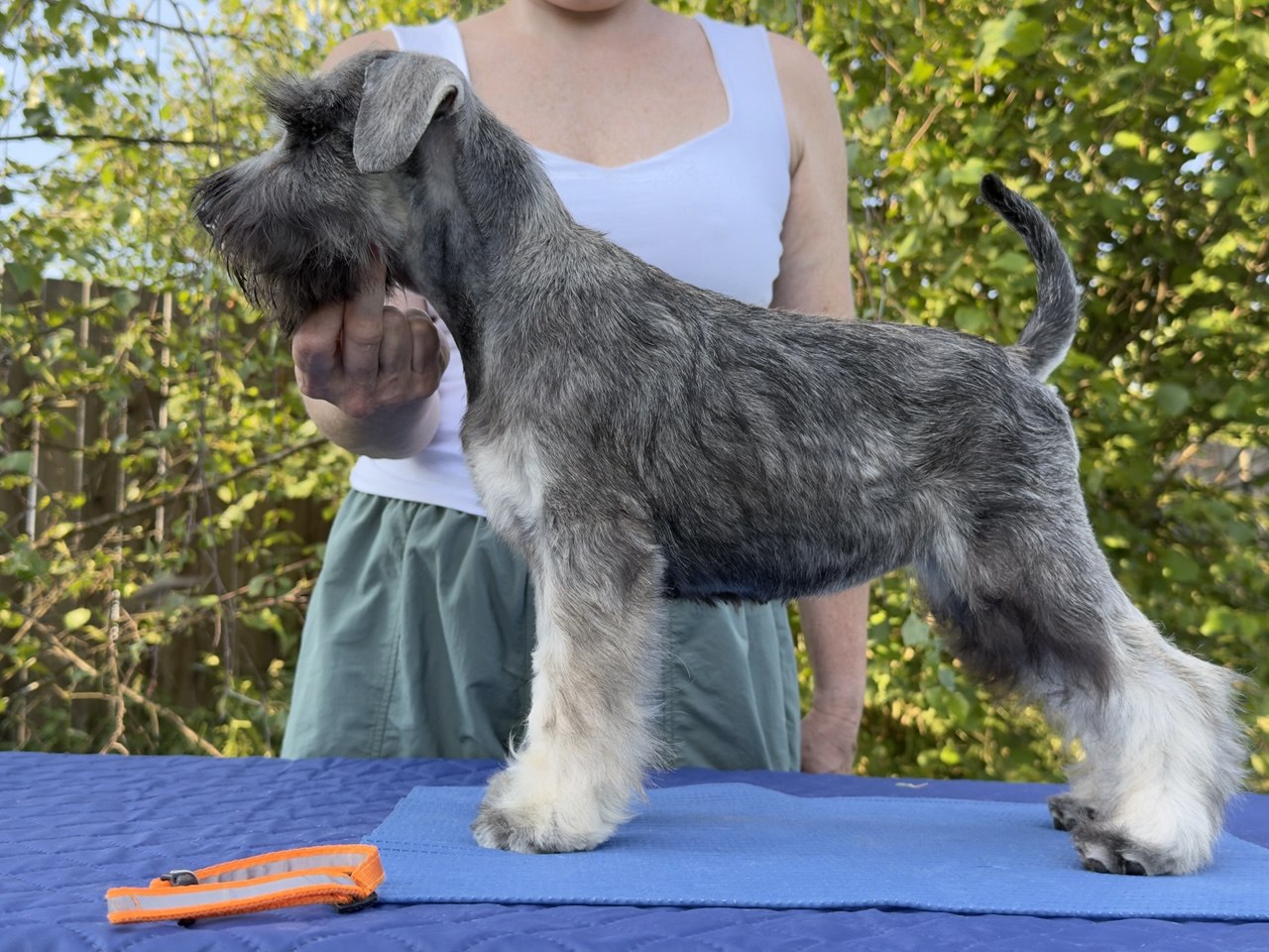 https://upforme.ru/uploads/0013/26/e2/64/701575.jpg