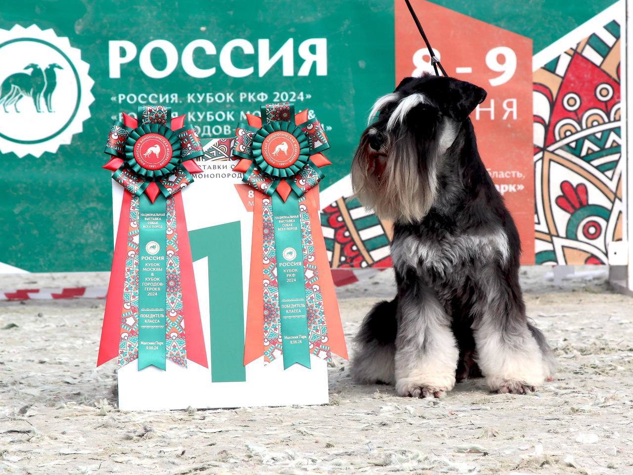 https://upforme.ru/uploads/0013/26/e2/64/702601.jpg