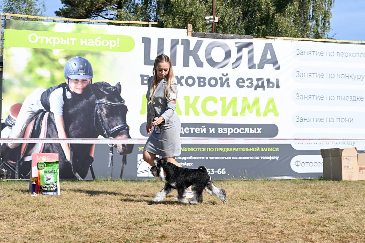 https://upforme.ru/uploads/0013/26/e2/64/704743.jpg