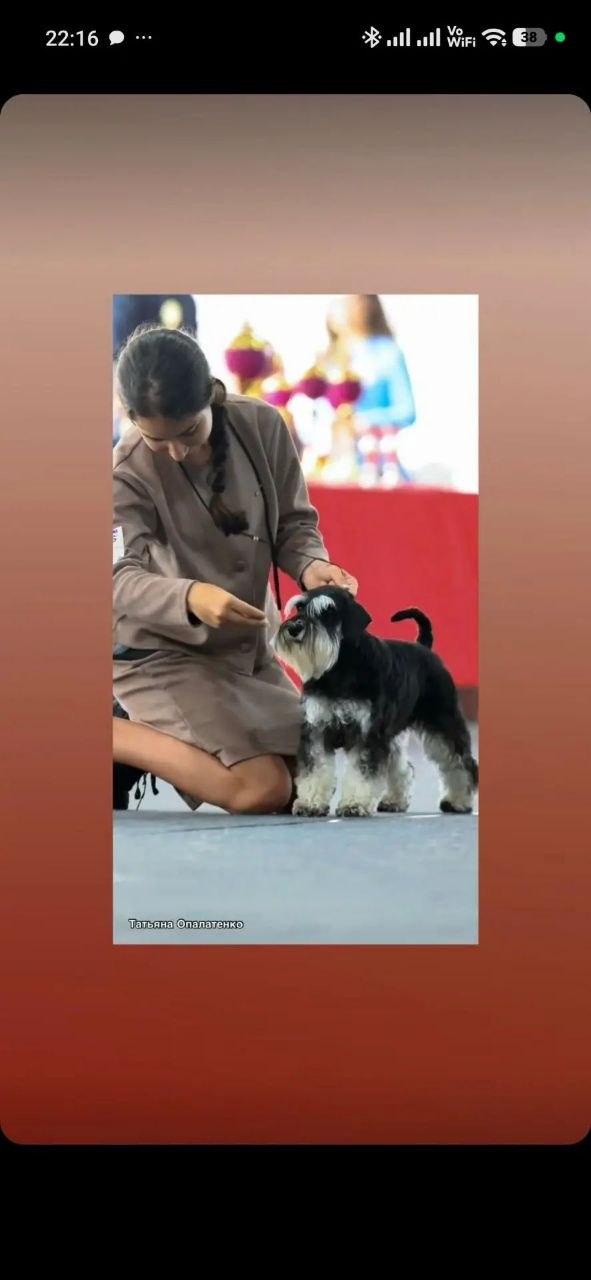 https://upforme.ru/uploads/0013/26/e2/64/714086.jpg