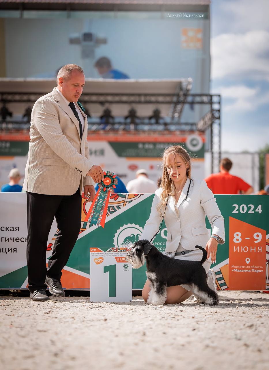 https://upforme.ru/uploads/0013/26/e2/64/71760.jpg