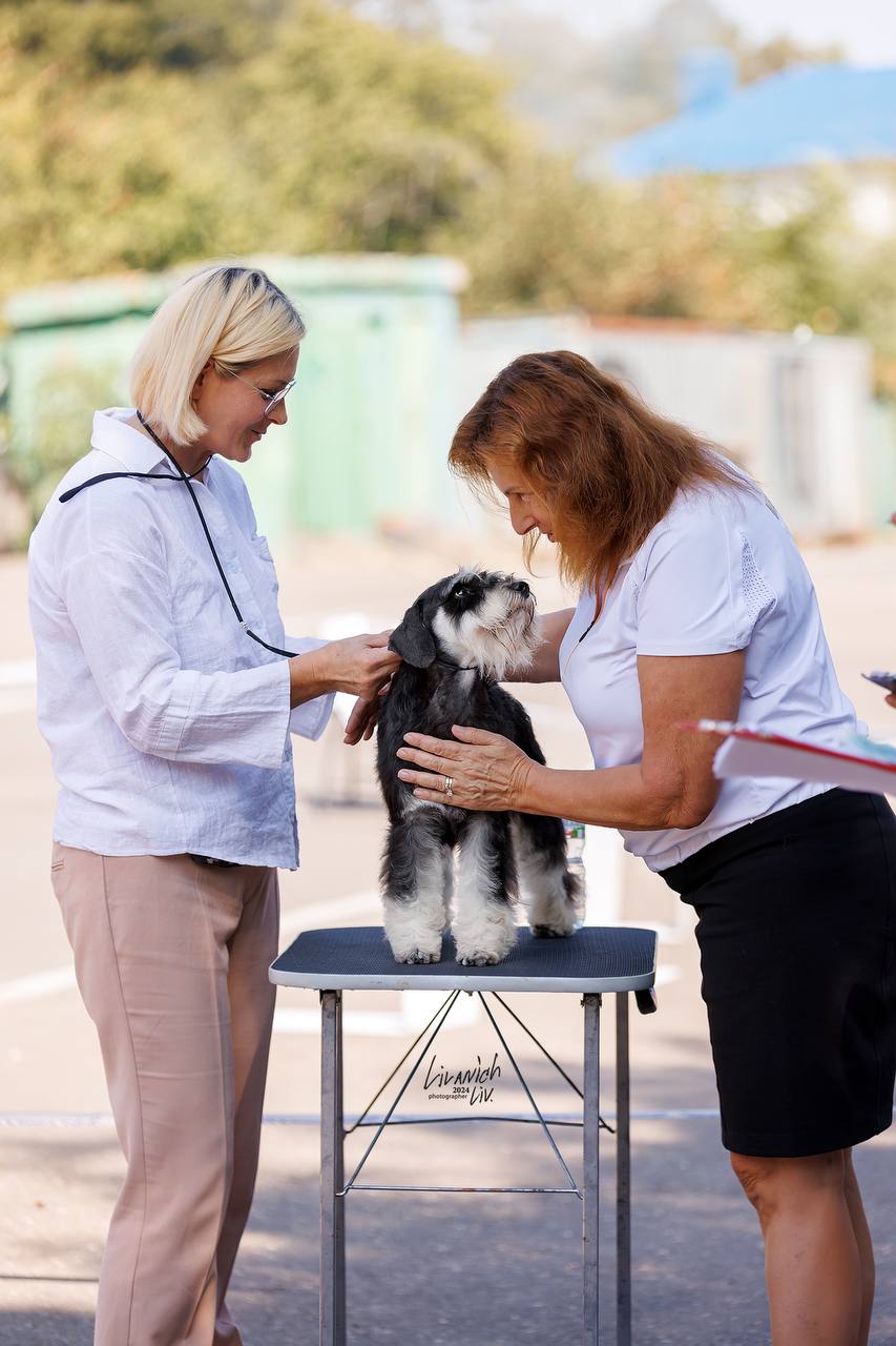 https://upforme.ru/uploads/0013/26/e2/64/721851.jpg