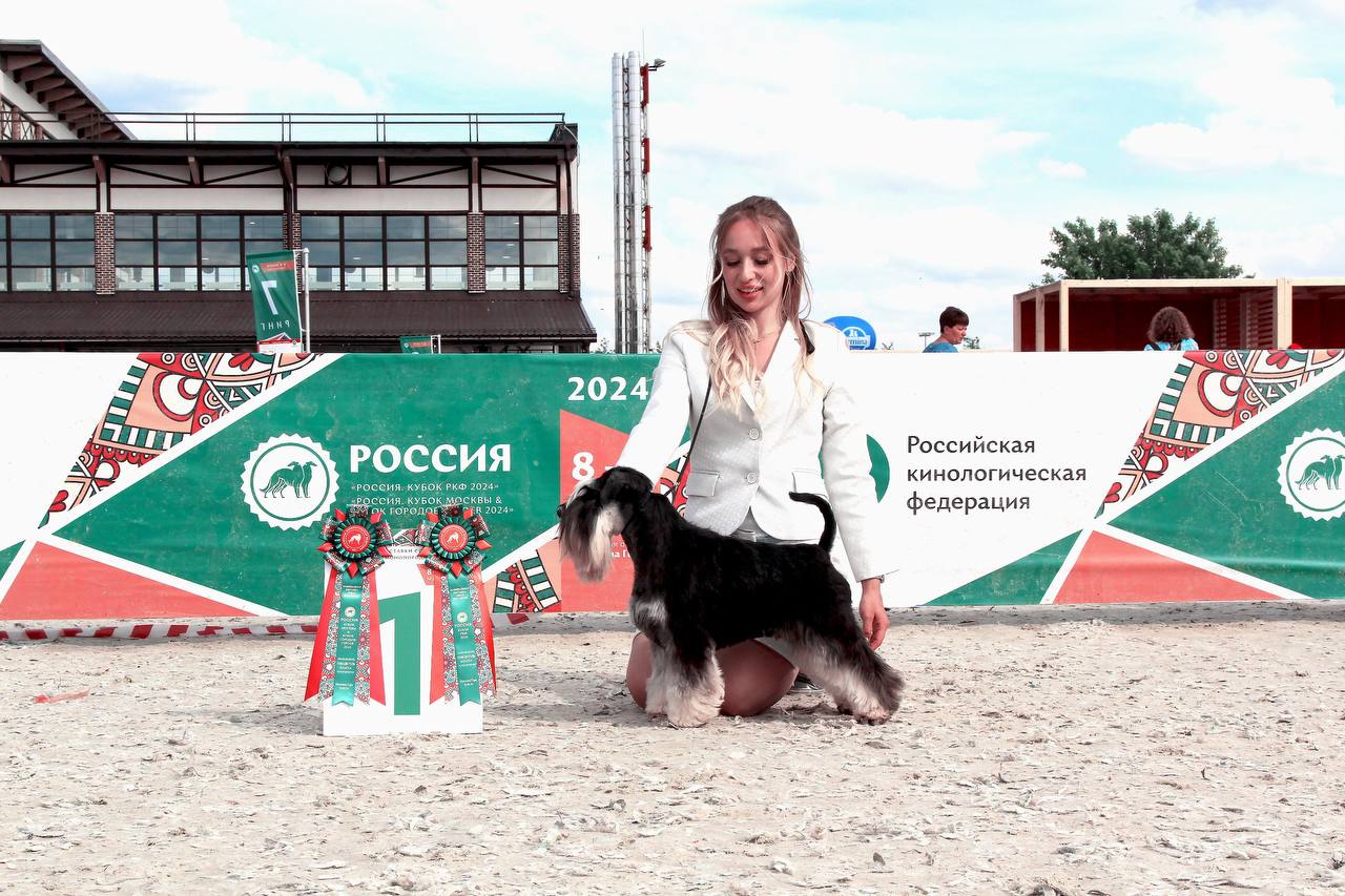 https://upforme.ru/uploads/0013/26/e2/64/740677.jpg
