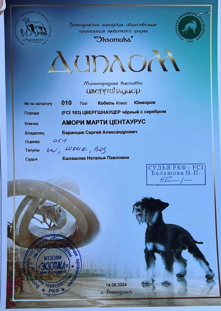https://upforme.ru/uploads/0013/26/e2/64/746181.jpg