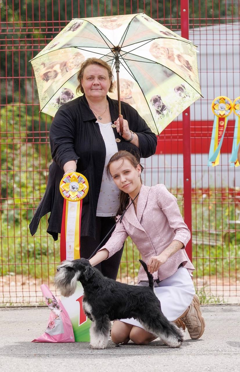 https://upforme.ru/uploads/0013/26/e2/64/74905.jpg