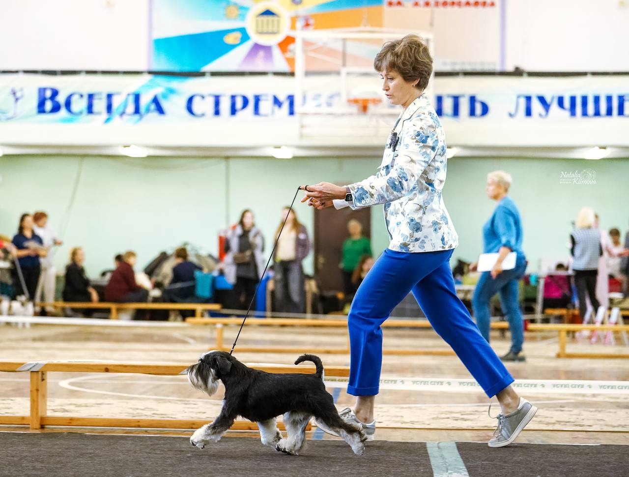 https://upforme.ru/uploads/0013/26/e2/64/752610.jpg