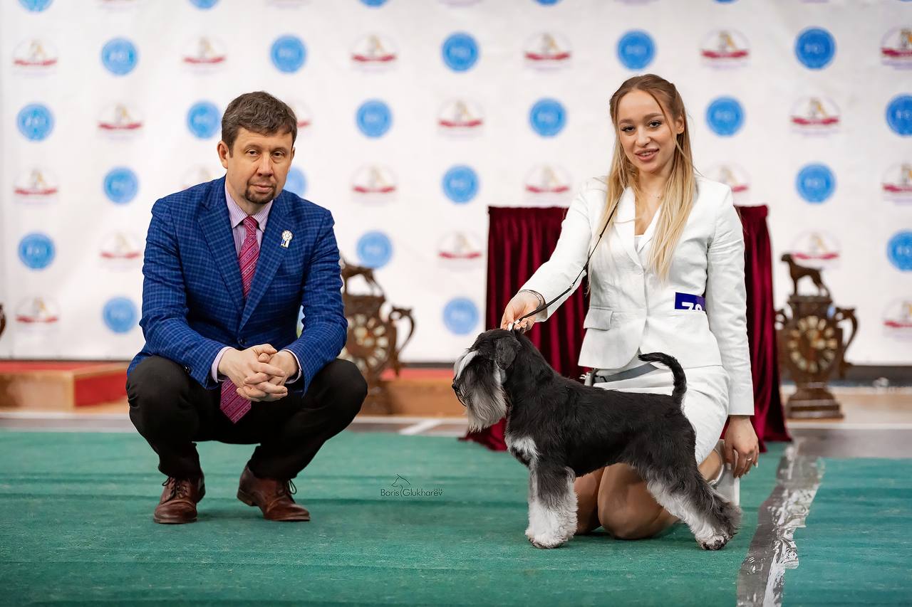 https://upforme.ru/uploads/0013/26/e2/64/765568.jpg