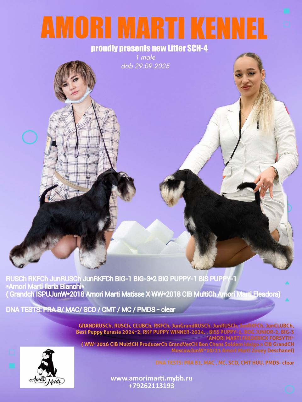 https://upforme.ru/uploads/0013/26/e2/64/76669.jpg