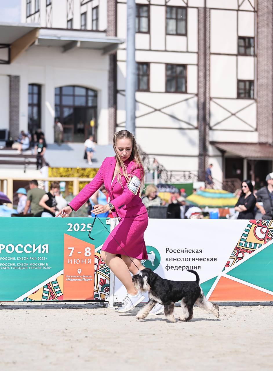 https://upforme.ru/uploads/0013/26/e2/64/781135.jpg