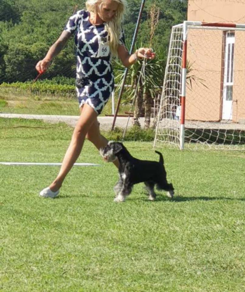 https://upforme.ru/uploads/0013/26/e2/64/78154.jpg