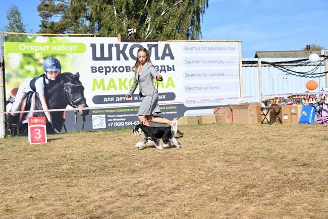 https://upforme.ru/uploads/0013/26/e2/64/795303.jpg