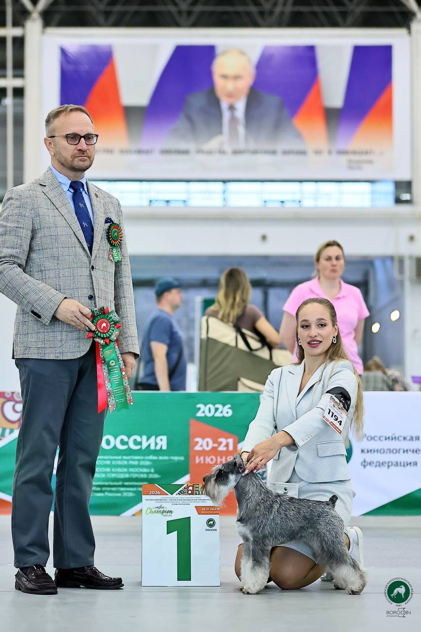 https://upforme.ru/uploads/0013/26/e2/64/805138.jpg