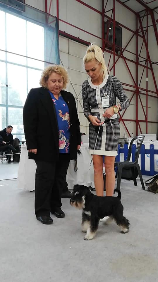 https://upforme.ru/uploads/0013/26/e2/64/806646.jpg