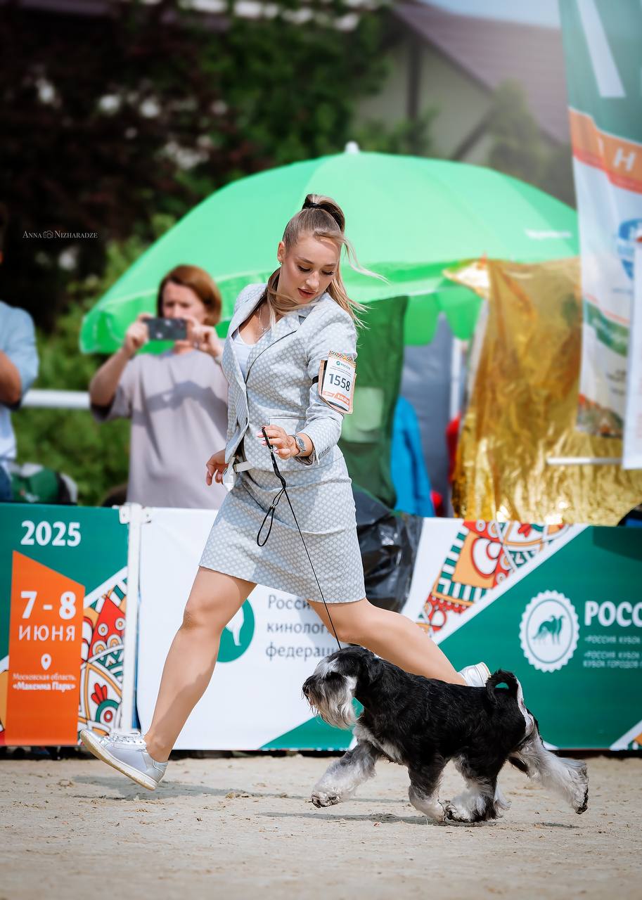 https://upforme.ru/uploads/0013/26/e2/64/806930.jpg