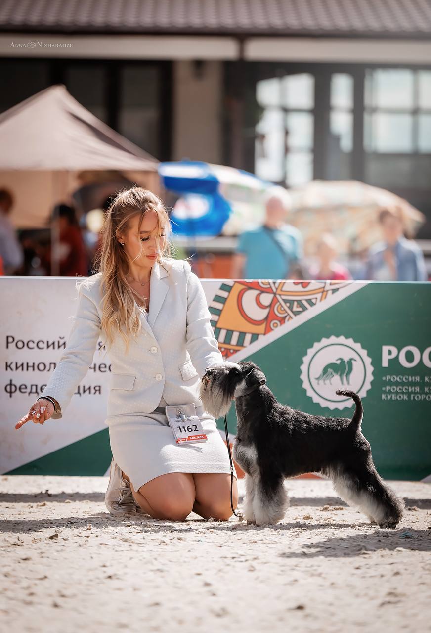 https://upforme.ru/uploads/0013/26/e2/64/807494.jpg