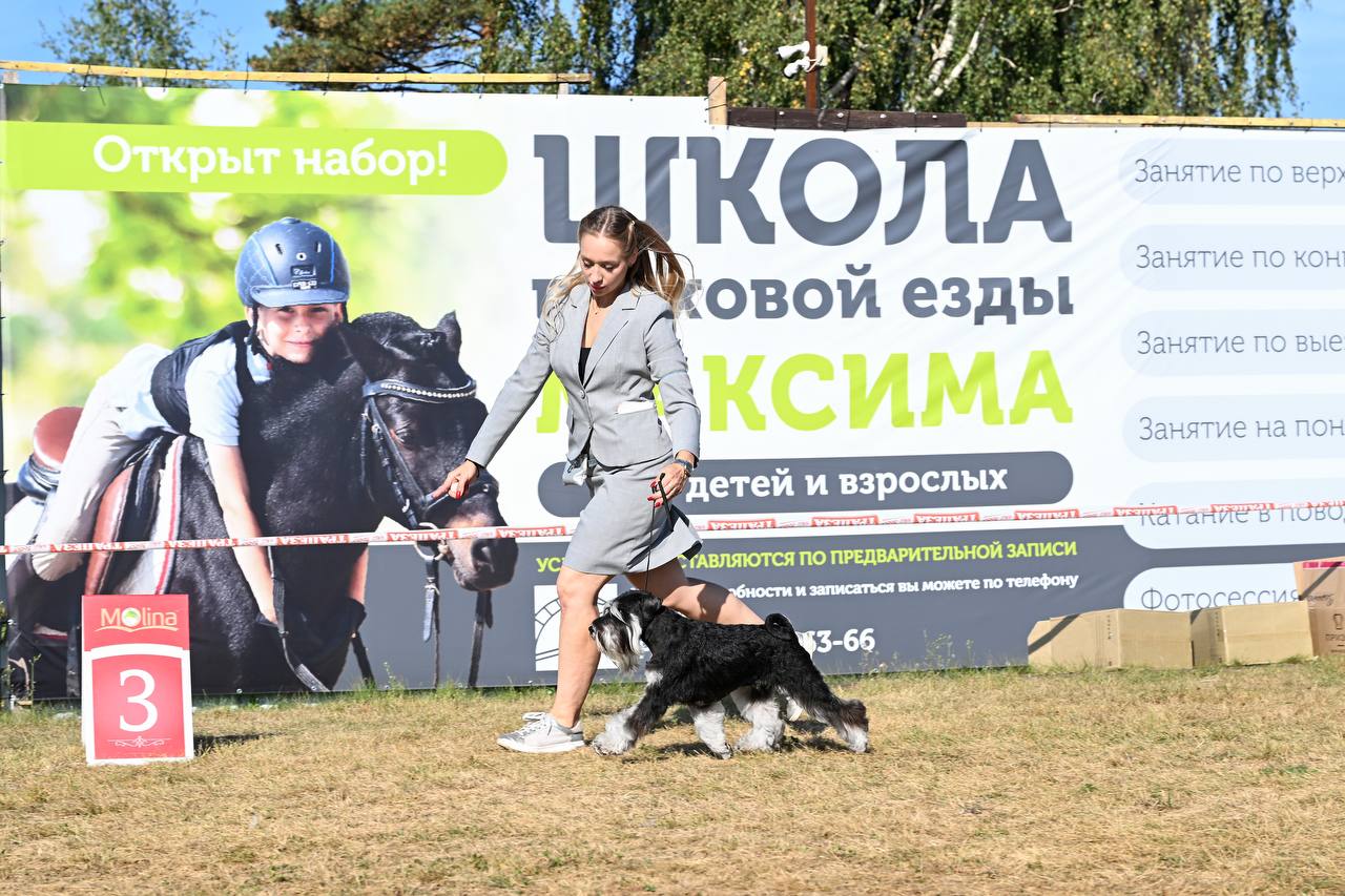 https://upforme.ru/uploads/0013/26/e2/64/808953.jpg