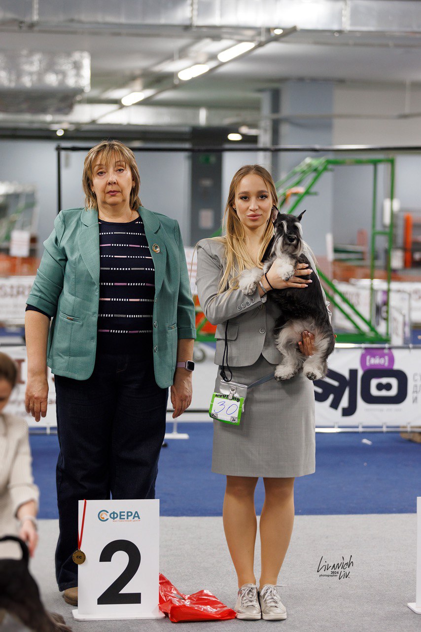 https://upforme.ru/uploads/0013/26/e2/64/815021.jpg