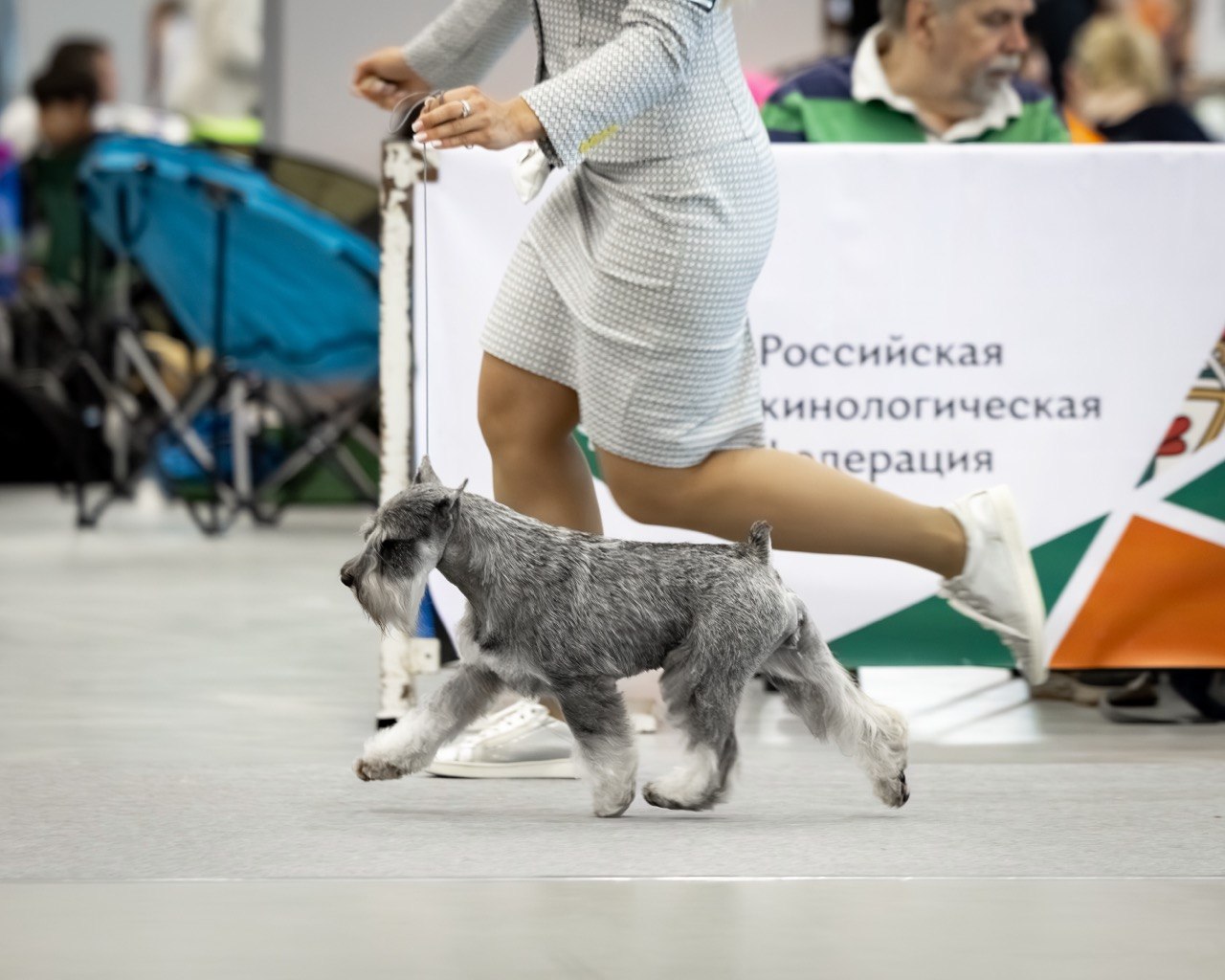 https://upforme.ru/uploads/0013/26/e2/64/821272.jpg