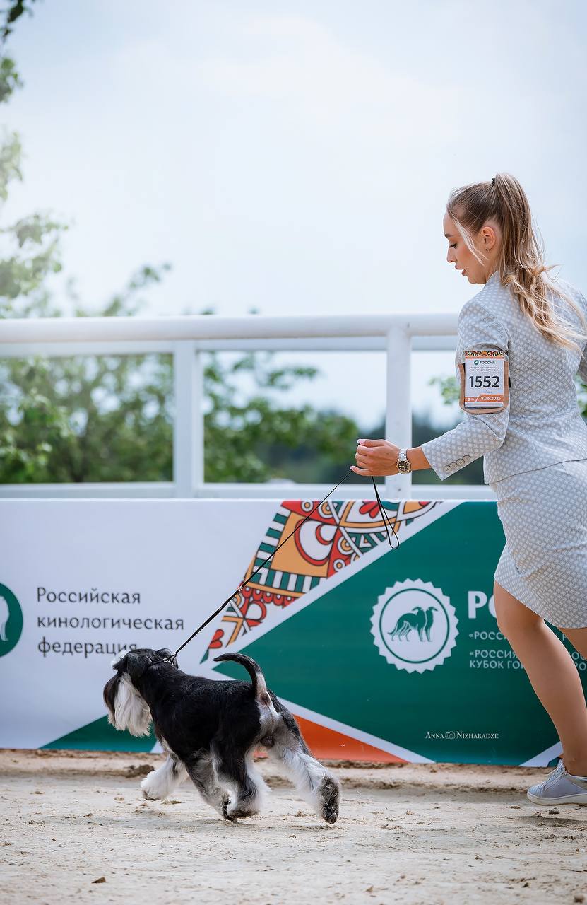 https://upforme.ru/uploads/0013/26/e2/64/843602.jpg