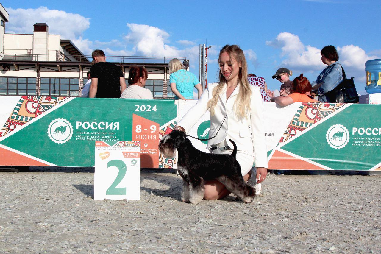 https://upforme.ru/uploads/0013/26/e2/64/844636.jpg