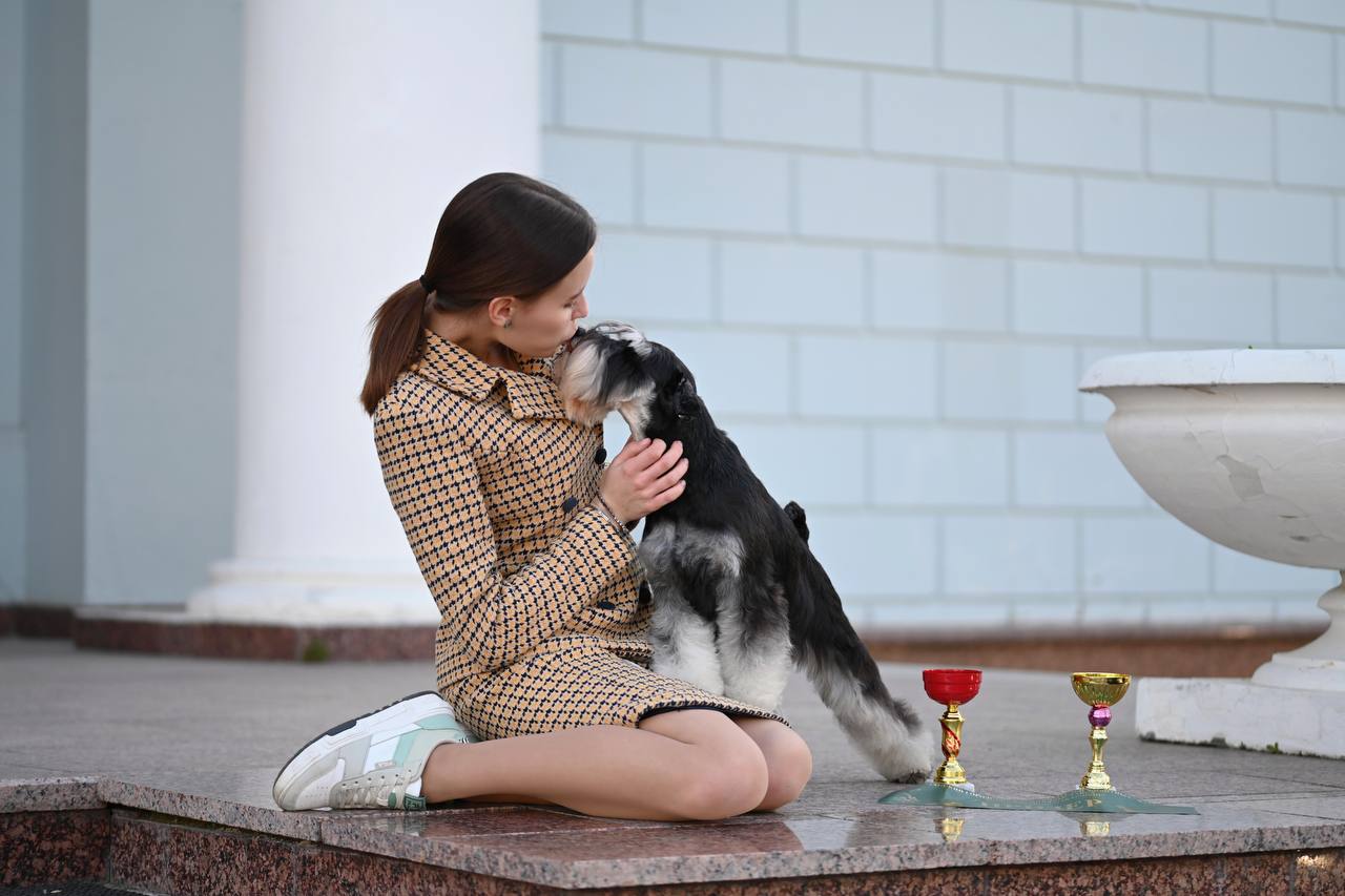 https://upforme.ru/uploads/0013/26/e2/64/845245.jpg