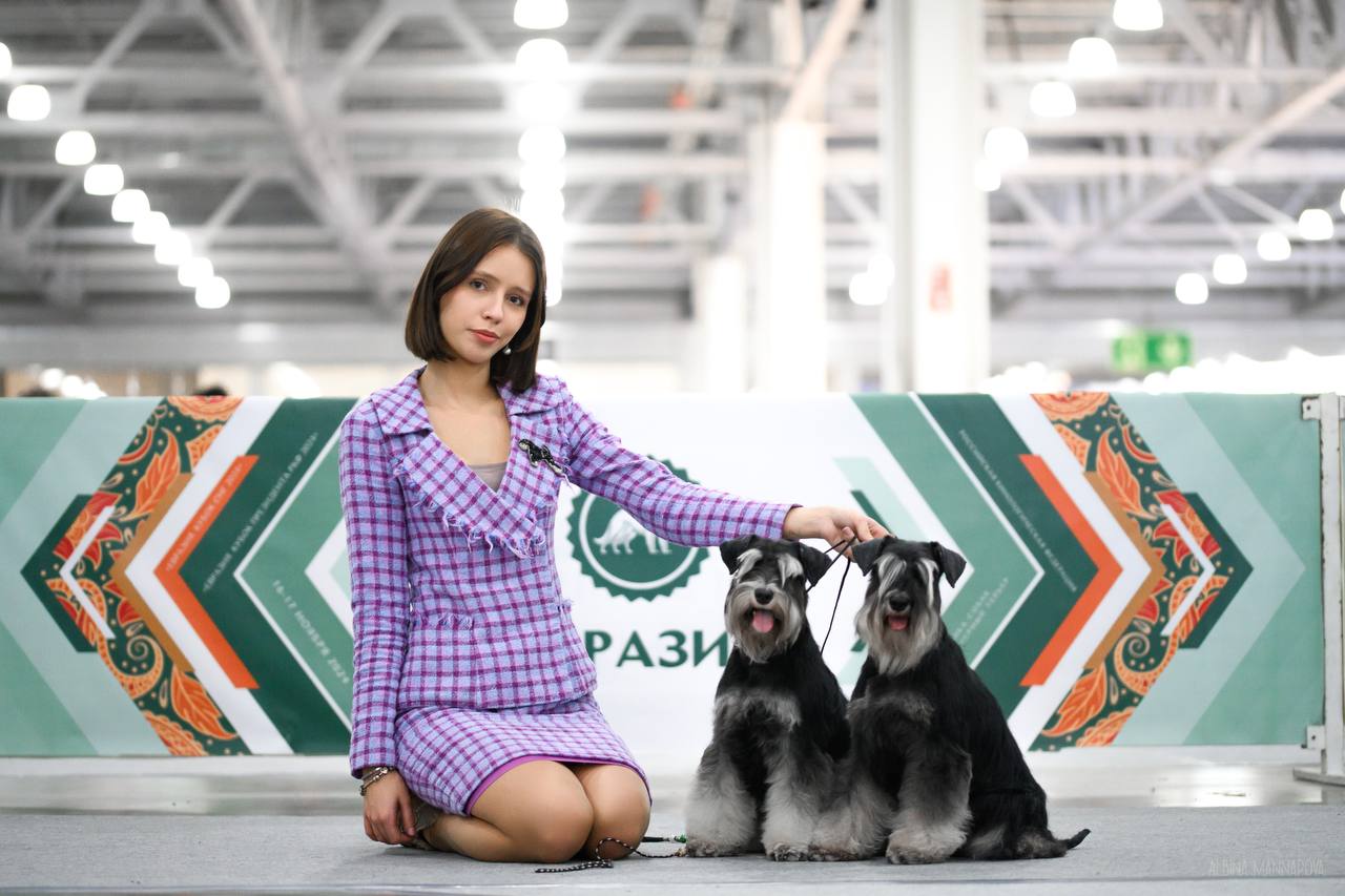 https://upforme.ru/uploads/0013/26/e2/64/854068.jpg