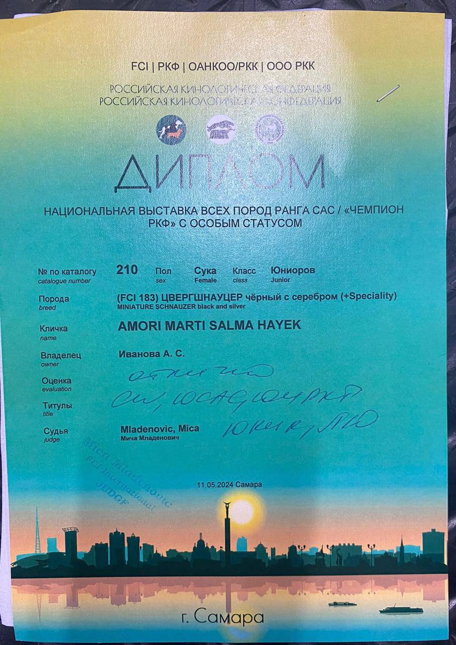 https://upforme.ru/uploads/0013/26/e2/64/859689.jpg