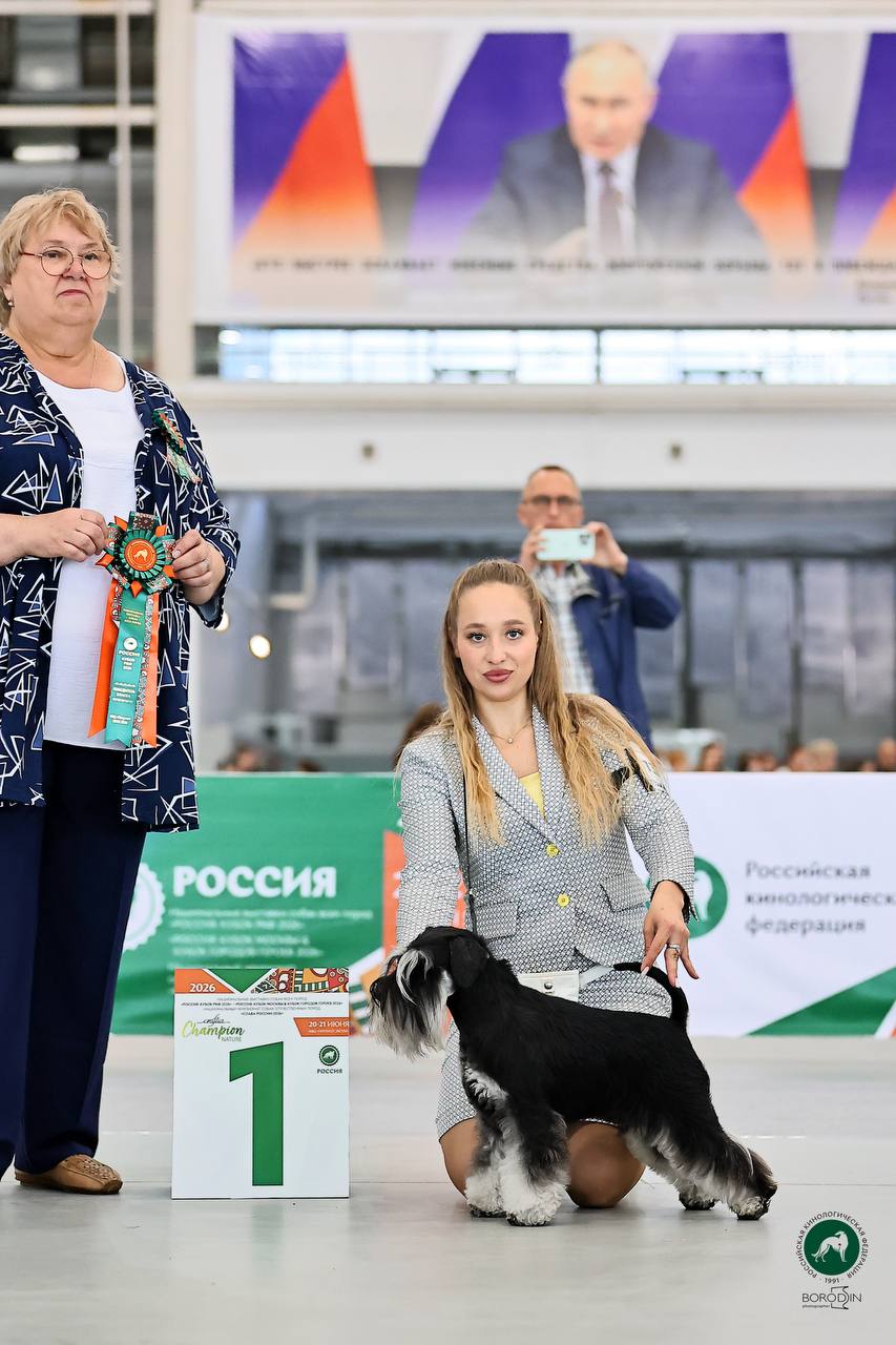 https://upforme.ru/uploads/0013/26/e2/64/862130.jpg
