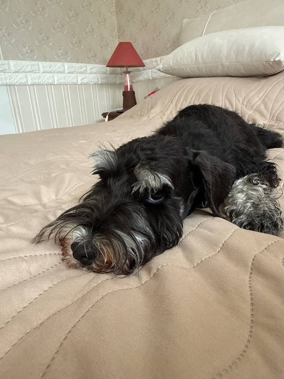 https://upforme.ru/uploads/0013/26/e2/64/862335.jpg