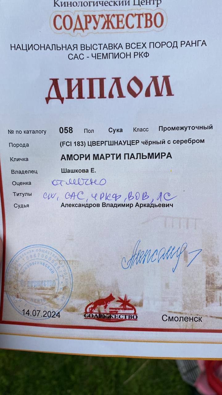 https://upforme.ru/uploads/0013/26/e2/64/862705.jpg