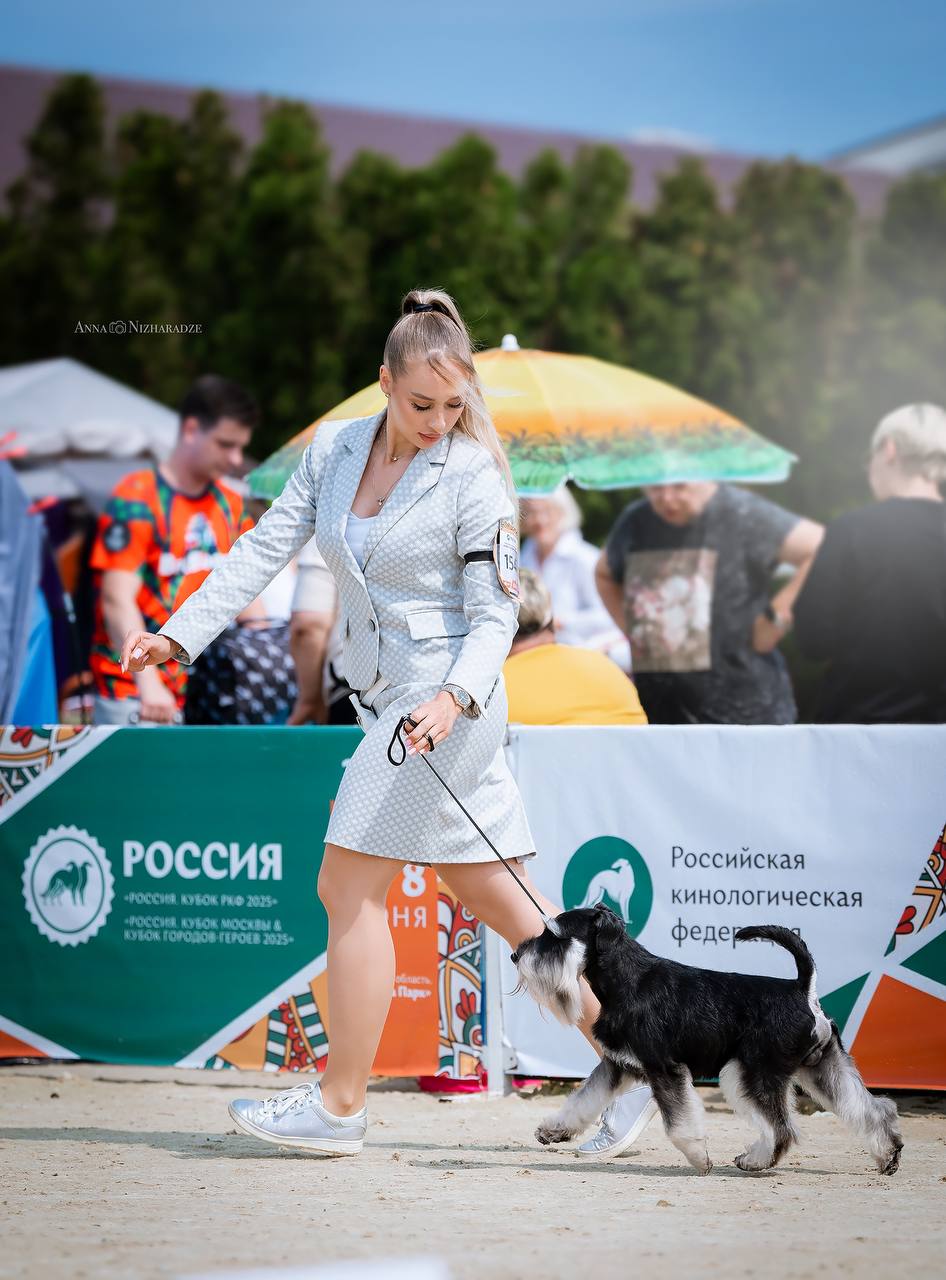 https://upforme.ru/uploads/0013/26/e2/64/863345.jpg