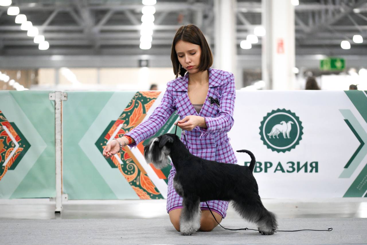 https://upforme.ru/uploads/0013/26/e2/64/888243.jpg