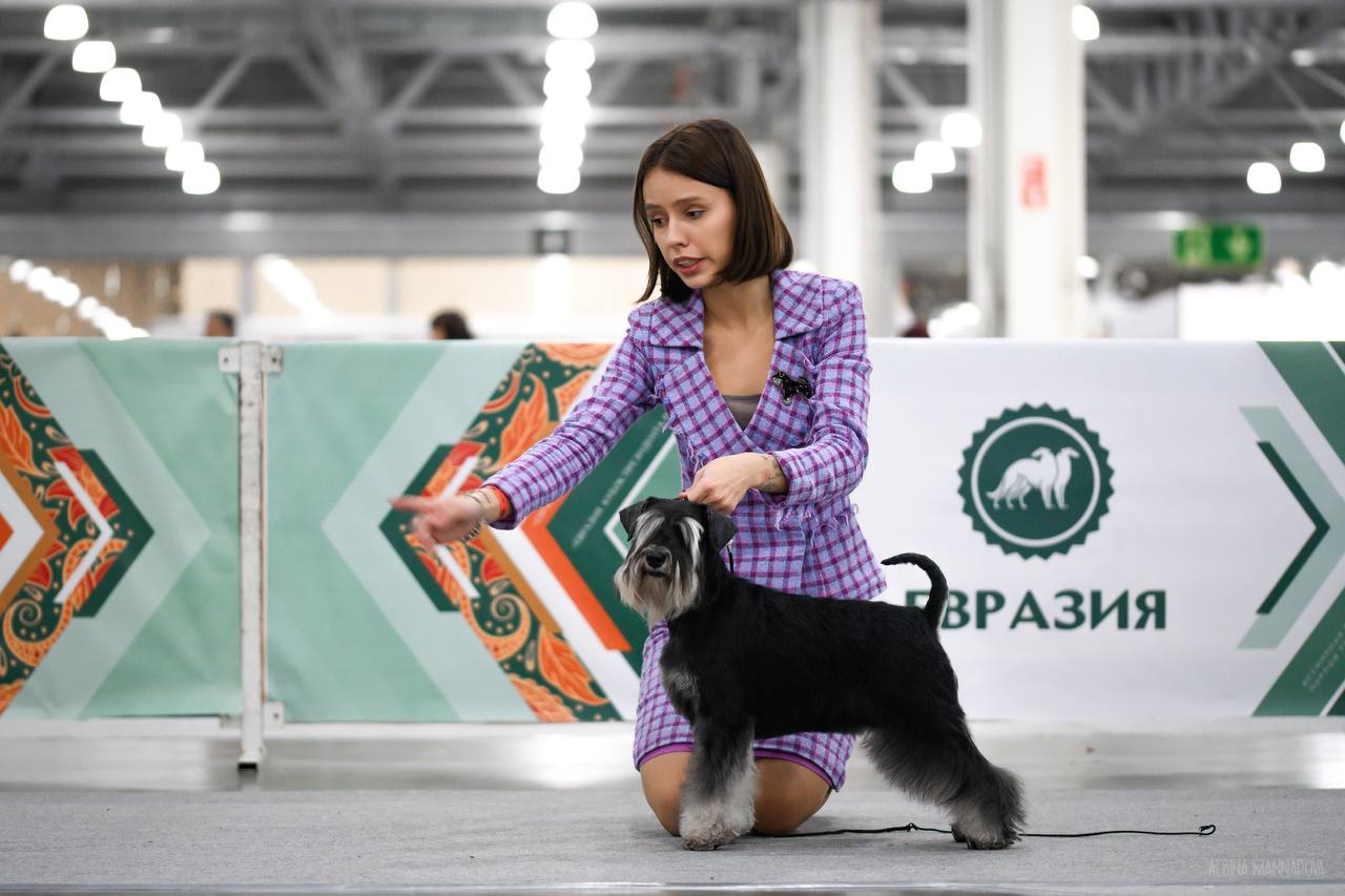 https://upforme.ru/uploads/0013/26/e2/64/902124.jpg