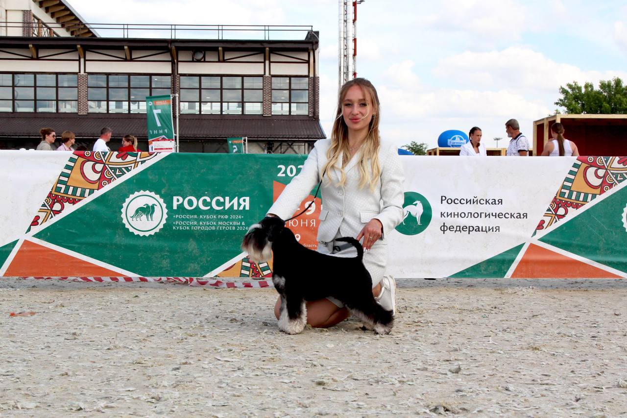 https://upforme.ru/uploads/0013/26/e2/64/916842.jpg