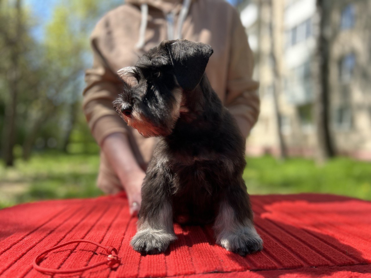https://upforme.ru/uploads/0013/26/e2/64/937596.jpg