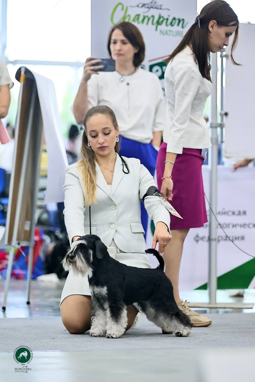 https://upforme.ru/uploads/0013/26/e2/64/948667.jpg