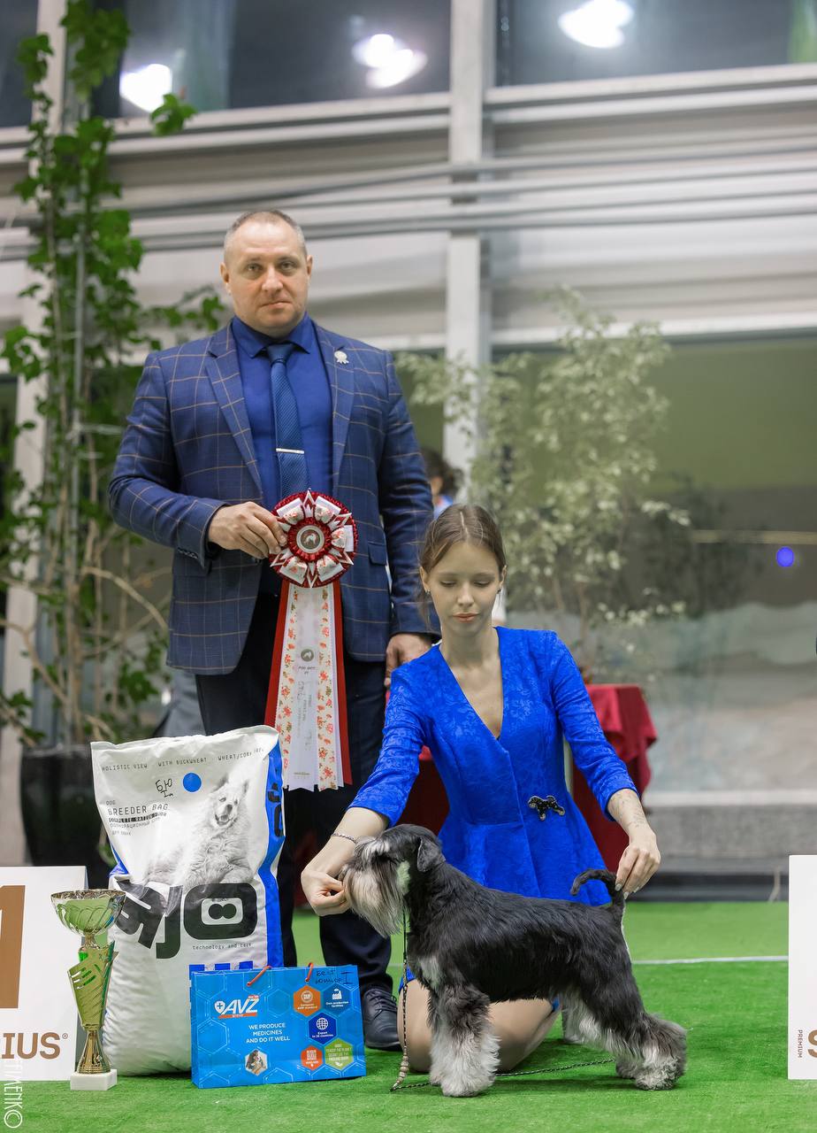 https://upforme.ru/uploads/0013/26/e2/64/961120.jpg