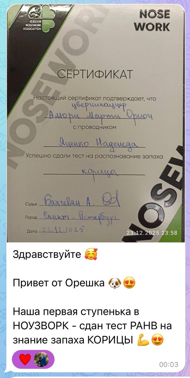 https://upforme.ru/uploads/0013/26/e2/64/966720.jpg