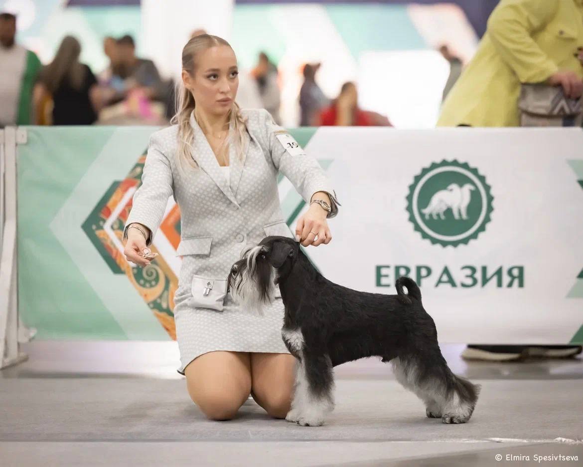 https://upforme.ru/uploads/0013/26/e2/64/967033.jpg
