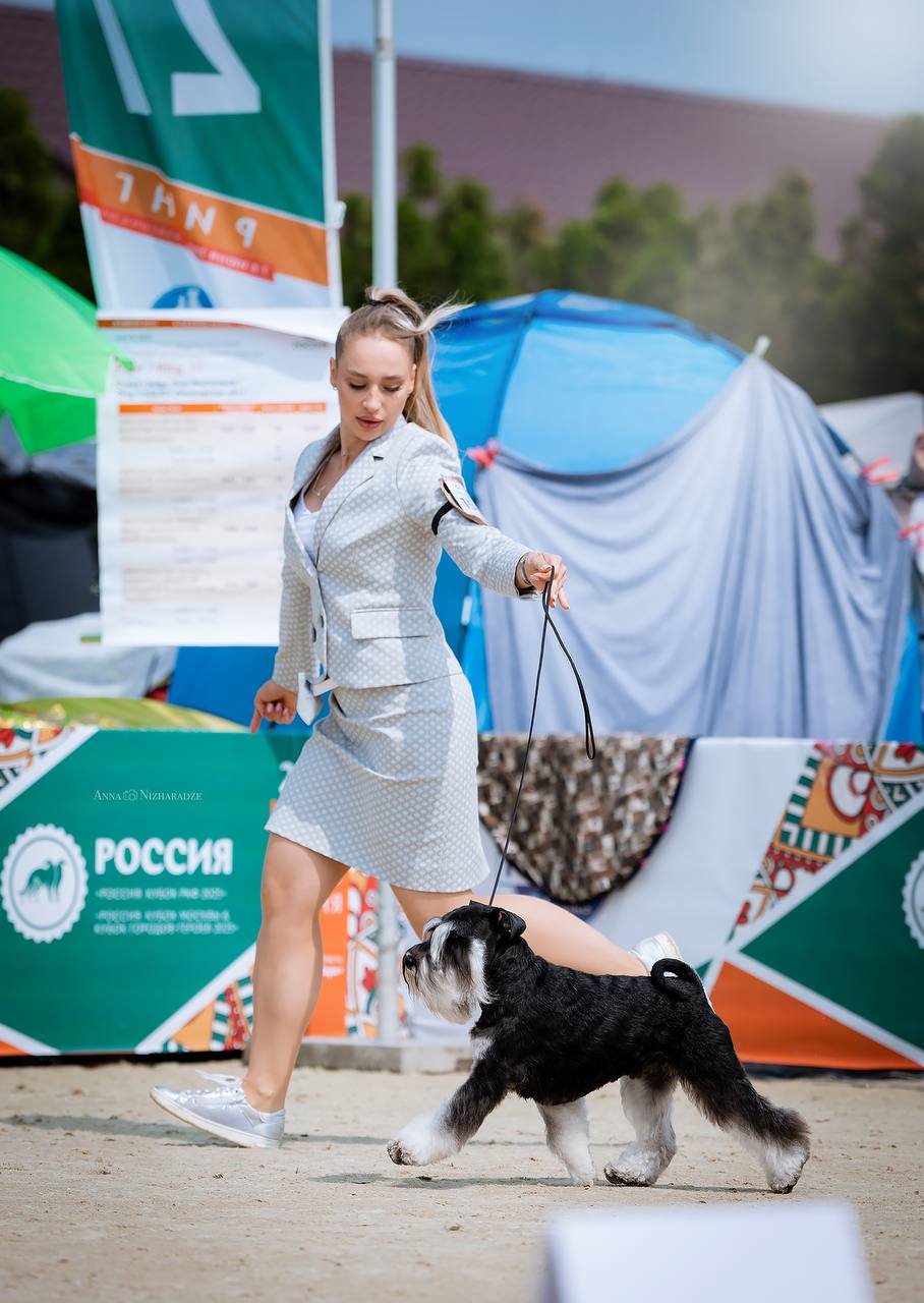 https://upforme.ru/uploads/0013/26/e2/64/96877.jpg